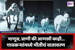 Nashik Viral Photo Fact : भूत की अफवा?, जाणून घ्या व्हायरल फोटोमागील सत्य; काय म्हणाले गावकरी