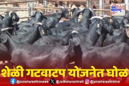शेळी गटवाटप योजनेत घोळ; लाभार्थ्यांनी अधिकाऱ्यांना धरलं धारेवर