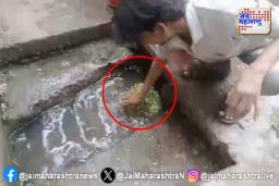 उल्हासनगरकरांच्या आरोग्याशी खेळ? चक्क गटाराच्या पाण्यात धुतल्या जातात भाज्या