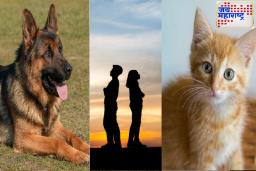 Pets Fight Divorce Case : ..ज्या कारणासाठी एकत्र आले, त्याच कारणाने घटस्फोटासाठी अर्ज! पाळीव प्राण्यांमुळे नातं तुटण्याची वेळ
