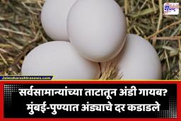 Egg Prices Hike : तुमच्या ताटातील प्रोटीन महागले; 6 ते 7 ग्रॅम प्रोटीनचा स्त्रोत असणाऱ्या डझनभर अंड्यांसाठी मोजावे लागणार ‘इतके’ रुपये