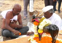 मालकाचा बैलावरील प्रेमाचा अनोखा नमुना