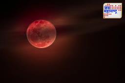 Chandra Grahan 2025: राशीनुसार योग्य दान करून जीवनात सकारात्मक ऊर्जा आणि आर्थिक स्थिरता मिळवा; जाणून घ्या