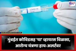 Mumbai Health Crisis: मुंबईत ‘या’ 4 जीवघेण्या व्हायरसचा एकाच वेळी हल्ला; रुग्णांच्या संख्येत मोठी वाढ