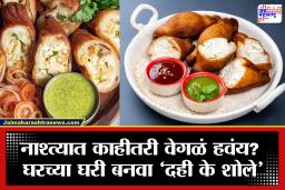 Dahi Ke Shole Recipe: बाहेरून कुरकुरीत, आतून क्रीमी! ‘दही के शोले’ची ही रेसिपी एकदा ट्राय केली की वारंवार बनवाल