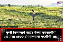 Pune: अवकाळी पावसाचा मोठा फटका; 4 हजार हेक्टर शेतीचे नुकसान, 8500 शेतकऱ्यांना दिलासा मिळण्याची चिन्हे