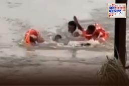 Woman Rescue: सोलापूरमध्ये सीना नदीत पडलेल्या महिलेचे धाडसी तरुणांनी वाचवले प्राण; पहा व्हायरल व्हिडिओ