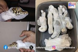 मगरीच्या पिल्लांच्या तस्करीत दोघांना अटक