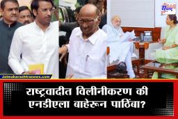 NCP Merger News : मोदी-पवार भेटीनंतर घडामोडींना वेग, सुप्रिया सुळे अमित शाहांच्या तर पार्थ अन् प्रफुल्ल पटेल शरद पवारांच्या भेटीला
