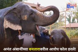 Vantara Clean Chit: अनंत अंबानींच्या वनताराला सर्वोच्च न्यायालयाकडून क्लीन चिट! काय आहे नेमकं प्रकरण? जाणून घ्या