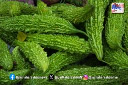 Healths Tips: मधुमेहासाठी कारल्याचे सेवन गुणकारी