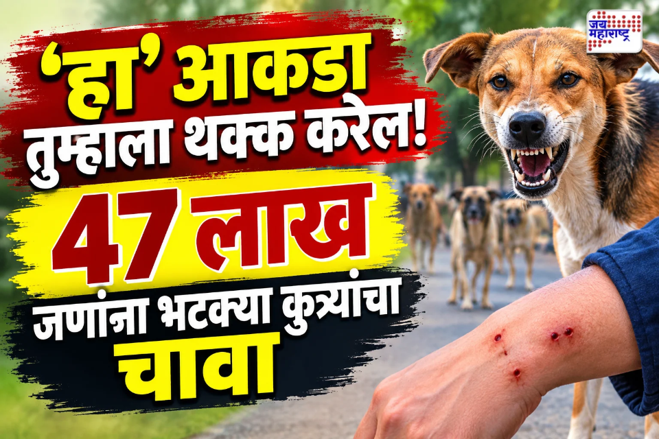 Stray Dogs : कुत्र्यांपासून सावधान! तब्बल 134 नागरिकांनी रेबीजमुळे गमावला जीव; भटक्या कुत्र्यांनी चावा घेतल्याच्या सर्वाधिक घटना मुंबईत