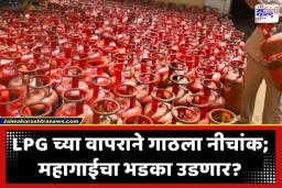 India LPG Consumption: मिडल इस्टमध्ये युद्धाची ठिणगी अन् भारतात LPG चा तुटवडा? गॅसच्या वापरात 13 टक्क्यांची मोठी घट