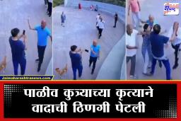 Pet Dog Walking on Track : पाळीव कुत्र्यामुळे घमासान, वॉकिंग ट्रॅकवरच नागरिक एकमेकांना भिडले; व्हिडीओ व्हायरल