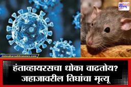 Hantavirus: नव्या विषाणूमुळे जगभरात चिंता! 2 भारतीयांना हंताव्हायरसची लागण; उपचारासाठी थेट नेदरलँड्सला हलवलं