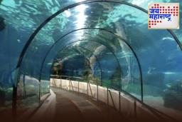 Underwater Tunnel: मुंबई-अहमदाबाद बुलेट ट्रेन प्रकल्पातील समुद्राखालील बोगदा जपानच्या ‘सेकान’ बोगद्याला देणार टक्कर; काय असेल खास? जाणून घ्या