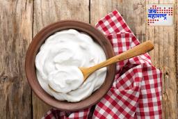Homemade Yogurt: मलईदार दही बनवायचंय? ‘या’ सोप्या ट्रिक्स वापरून घरच्या घरी स्वादिष्ट दही बनवा