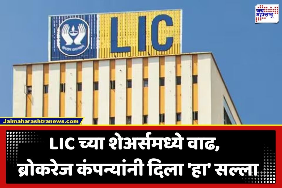 LIC Share Price : पहिल्या तिमाहीतील निकालानंतर LIC च्या शेअरमध्ये मोठी वाढ; खरेदीबाबत तज्ज्ञांनी दिला ‘हा’ महत्त्वाचा सल्ला