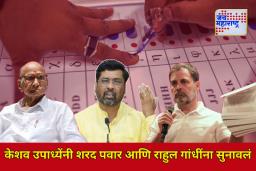 ‘कधी ईव्हीएम वर शंका तर कधी…’; केशव उपाध्येंनी शरद पवार आणि राहुल गांधींना सुनावलं