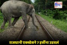 Rajdhani Express Accident: राजधानी एक्स्प्रेसची हत्तींच्या कळपाला धडक; सात हत्तींचा मृत्यू