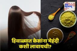 Hair Tips: हिवाळ्यात मेहंदी लावताय?, ही गोष्ट नक्की लक्षात ठेवा