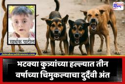 Chhatrapati Sambhajinagar : भटक्या कुत्र्यांची दहशत! तीन वर्षाच्या चिमुकल्यावर हल्ला; ओळखूही येईना अशी बालकाची अवस्था