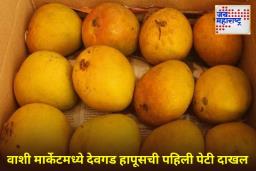 Devgad Hapus: देवगड हापूसने मोडले सर्व रेकॉर्ड; पहिल्या पेटीला मिळाला 25 हजार रुपयांचा भाव