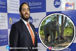 अनंत अंबानींच्या वंताराला मिळाला प्राणी मित्र पुरस्कार