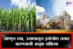 गॅस-पेट्रोलला पर्याय ठरलेल्या इथेनॉलचे संपूर्ण गणित जाणून घ्या; 1 लिटर शुद्ध Ethanol बनवण्यासाठी नेमका किती ऊस लागतो?