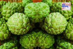 Custard Apple Benefit: सीताफळाचे आरोग्यदायी फायदे