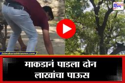Viral Video: कोर्टाबाहेर अजब प्रकार! माकडाने पाडला तब्बल 2 लाखांचा पाऊस; पुढे जे घडलं ते पाहून सगळेच थक्क