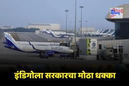 Indigo Flight Cuts: इंडिगोवर DGCAची मोठी कारवाई; दैनंदिन उड्डाणांमध्ये 115 फ्लाइट्सची कपात, 2 दिवसांत नवे वेळापत्रक सादर करण्याचे आदेश