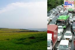 Kaas Plateau Tourism : निसर्ग सोहळा अनुभवण्यासाठी हजारो पर्यटक कासपठारावर; मात्र वाहतुककोंडीमुळे तासन् तास पडले अडकून