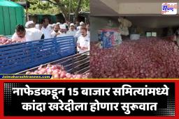 Nashik Onion Purchase : नाशकात नाफेडकडून कांदा खरेदी; 15 बाजार समित्यांमध्ये होणार खरेदी