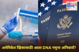 अमेरिकेचा वर्क व्हिसा किंवा ग्रीन कार्ड मिळविण्यासाठी आता द्यावा लागणार DNA नमुना? ट्रम्प सरकारचा नवा प्रस्ताव चर्चेत