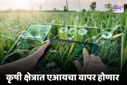Maharashtra Budget 2025: अर्थसंकल्पात शेतकऱ्यांसाठी मोठ्या घोषणा
