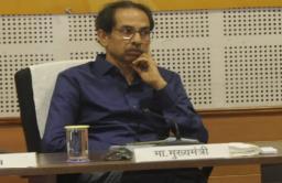 वाघ आहे का बेडूक ? मनसेची शिवसेनेवर टीका