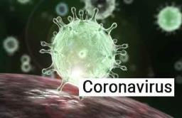 Corona : महाराष्ट्रात कोरोनाचा आकडा ११६वर