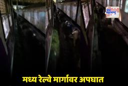 Mumbai Local Accident : कर्मचाऱ्यांच्या आंदोलनाचा फटका! मध्य रेल्वे मार्गावरील लोकलच्या धडकेत एका प्रवाशांचा मृत्यू; तिघे जखमी