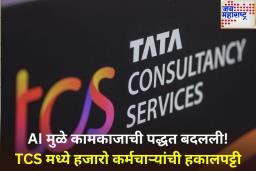 TCS मध्ये 12 हजार कर्मचाऱ्यांना नारळ; कर्मचारी कपातीवर CEO ने दिलं स्पष्टीकरण