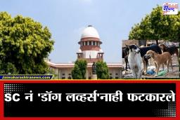 SC on Stray Dogs : भटक्या कुत्र्यांनी चावा घेतल्यास ‘मोठी भरपाई देण्याचे आदेश देऊ’, सर्वोच्च न्यायालयाची राज्य सरकारांना चपराक