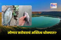 Lonar Lake : लोणार सरोवरात काहीतरी ‘अजब’ घडतंय!; वैज्ञानिकांसह स्थानिकांचही टेंशन वाढलं