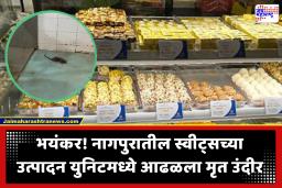 Nagpur News : नागरिकांच्या जीवाशी खेळ! नागपूरच्या हिरा स्वीट्स उत्पादन युनिटमध्ये चक्क उंदीर मरून पडला; FDA ची कारवाई, दुकानाचा परवाना रद्द
