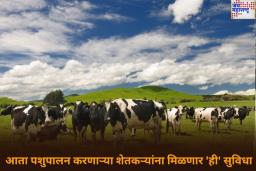 पशुपालन करणाऱ्या शेतकऱ्यांसाठी मोदी सरकारची मोठी घोषणा; प्रत्येक गावात मिळणार ‘ही’ सुविधा
