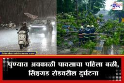 Pune Unseasonal Rain: पुण्यात अवकाळी पावसाचा कहर;  सिंहगड रोडवर झाड अंगावर कोसळून महिलेचा जागीच मृत्यू