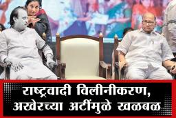 NCP Merge: राष्ट्रवादी विलीनीकरणाचा पेच वाढला; तटकरेंनंतर आता राष्ट्रवादीच्या आणखी एका नेत्याने ठेवली अटी