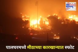 Palghar Chemical Factory Blast: पालघर रासायनिक कारखान्यात भीषण स्फोट; एका कामगाराचा मृत्यू, 4 जखमी