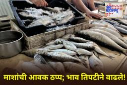 Fish Prices Increases: खवय्ये हैराण! सुरमई-पापलेटचे भाव गगनाला भिडले