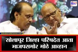 Solapur Political Update: भाजपला रोखण्यासाठी ‘एकच चिन्ह, एकच ध्येय’; महापालिका निवडणुकांनंतर सोलापूर जिल्हा परिषदेत राष्ट्रवादीची ‘दिलजमाई’