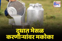 दुधात भेसळ करणाऱ्यांवर मकोका लावणार, अजित पवारांची मोठी घोषणा